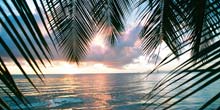 Barbados exotic beach holidays